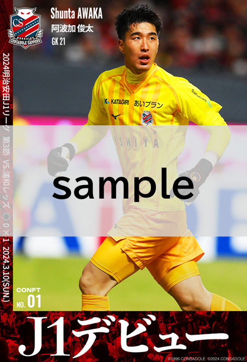 sample_1